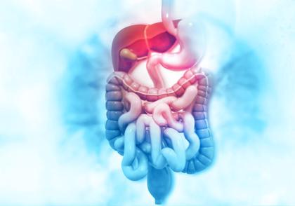 gastroenterology